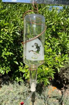 Glass Bottle Bird Feeder with Etched Design--Desert Scene