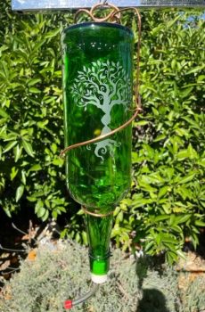 Glass Bottle Bird Feeder with Etched Design--Tree of Life green bottle